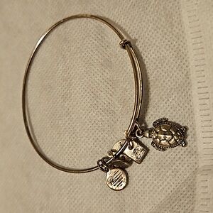 Alex & Ani Turtle Bracelet
